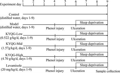 Pharmacodynamic and Metabolomics Studies on the Effect of Kouyanqing Granule in the Treatment of Phenol-Induced Oral Ulcer Worsened by Sleep Deprivation